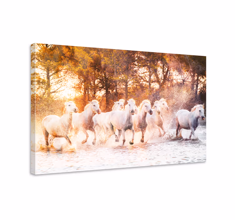 Pferde leinwand wildpferde im warmen sonnenuntergang - TenStickers