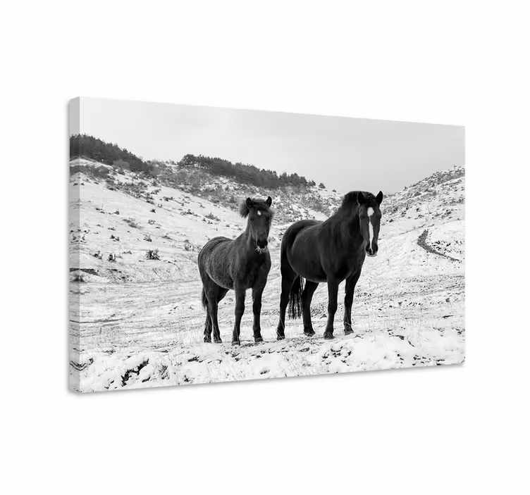 Pferde leinwand pferde im schnee - TenStickers