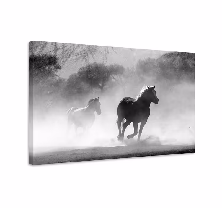 Pferde leinwand weißes und schwarzes pferd - TenStickers