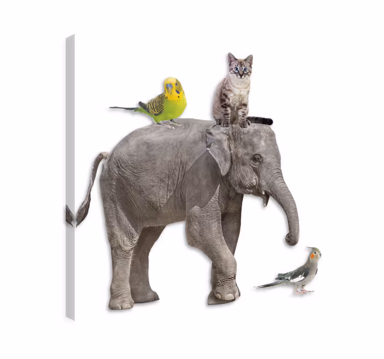 Wandbild elefant mit verschiedenen tieren - TenStickers
