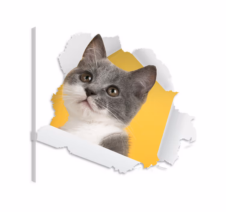 Wandbilder katzen 3d katzenaufkleber - TenStickers