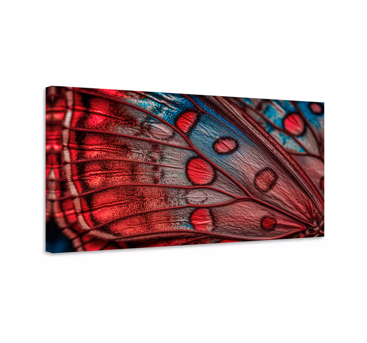 Wandbild schmetterling flügeldesign - TenStickers
