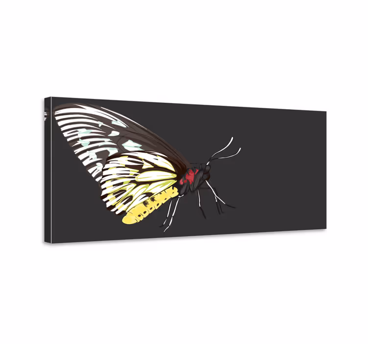 Wandbild schmetterling realistisch detailreich gelb - TenStickers