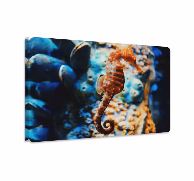 Wandbild fische unterwasserwelt - TenStickers