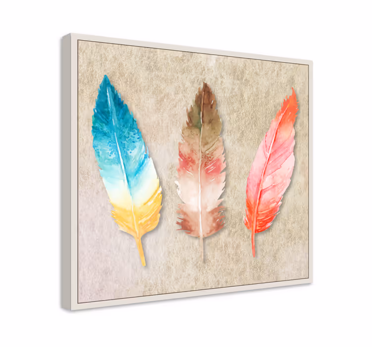 Wandbild federn buntes feder trio - TenStickers