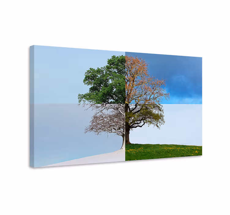 Wandbild baum saisonaler baumkontrast - TenStickers