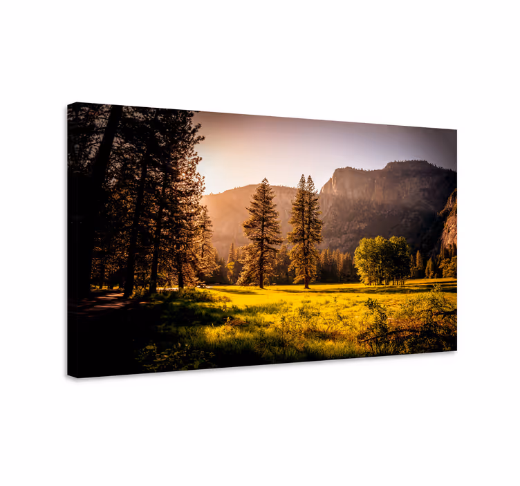 Wandbilder landschaft goldener sonnenwald - TenStickers