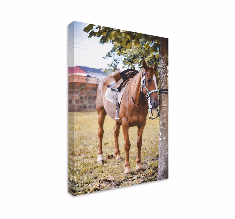 Pferde leinwand elegantes braunes pferd - TenStickers