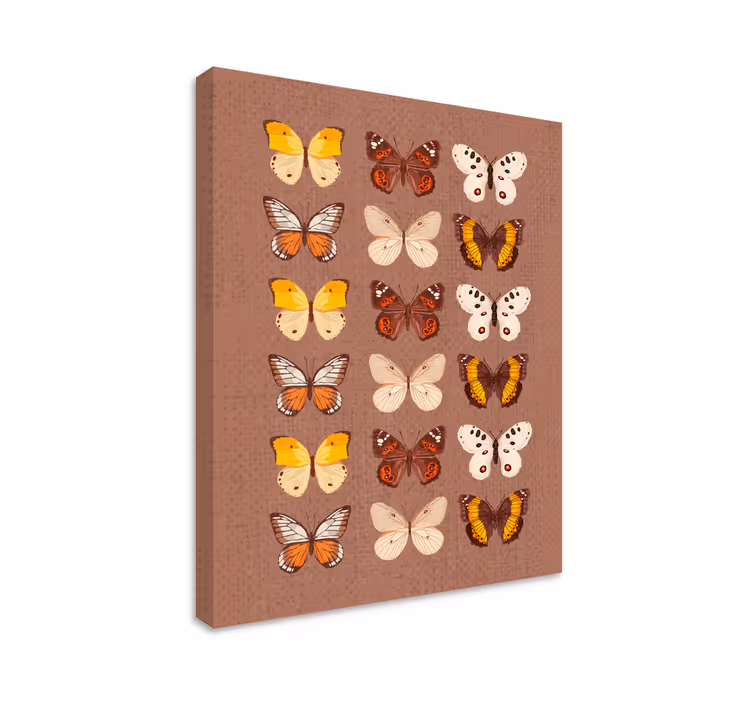 Wandbild schmetterling bunte schmetterlingsdarstellung - TenStickers