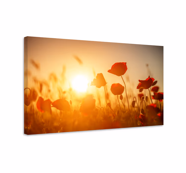 Leinwandbild mohnfeld glanz - TenStickers