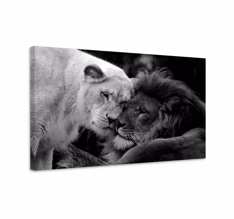 Wandbild Tier Schwarz-weiß-löwenpaar - TenStickers