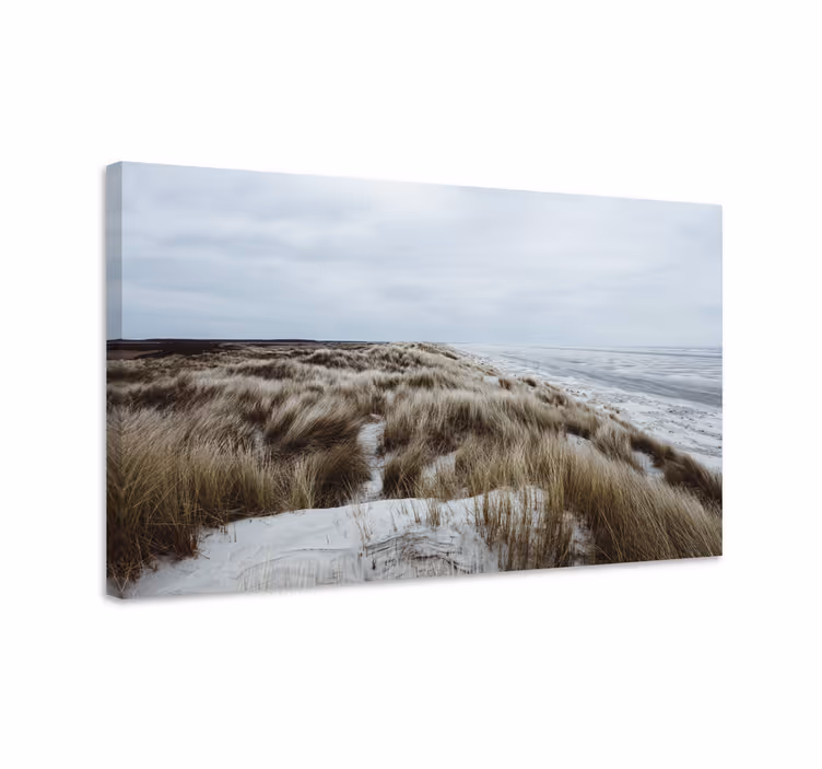 Wandbilder landschaft küstendünenblick - TenStickers
