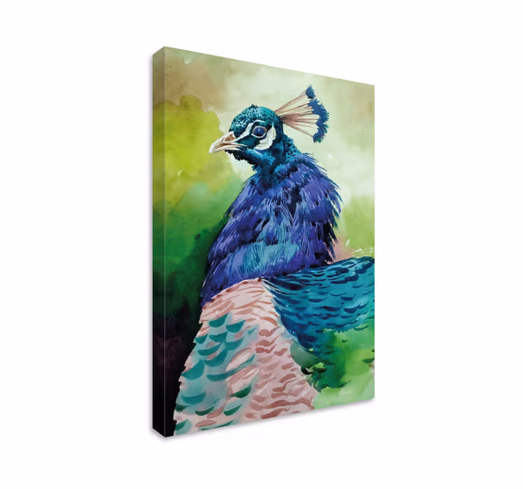 Leinwandbild vogel majestätisches pfauenporträt - TenStickers