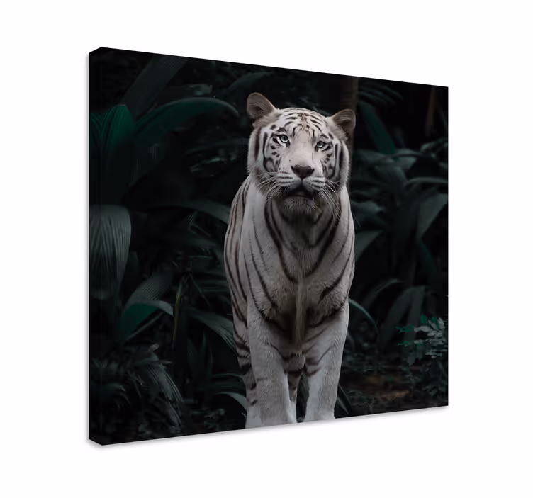 Wandbild tier majestätischer weißer tiger - TenStickers