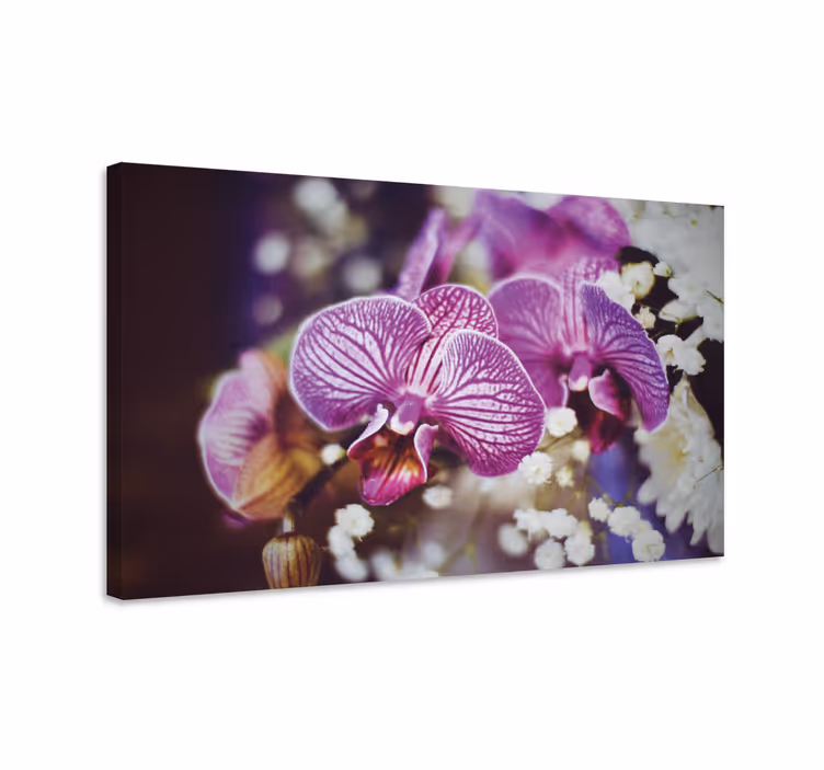 Leinwandbild orchideenblüten detail - TenStickers