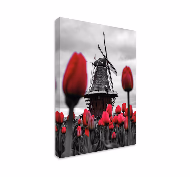 Wandbilder landschaft mit windmühle und tulpen - TenStickers