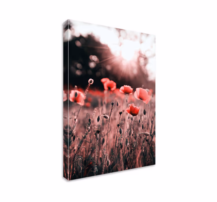 Leinwandbild poppy meadow strahlkraft - TenStickers