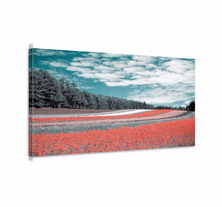 Wandbilder landschaft lebendige blumenwiese - TenStickers