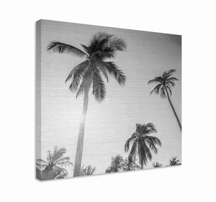 Wandbilder Landschaft tropische palmensilhouetten - TenStickers