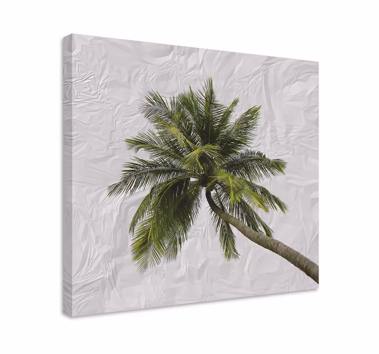 Leinwandbild hohe palmblattfeder - TenStickers