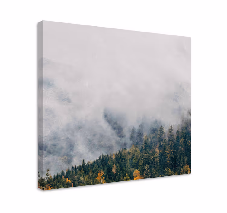 Wandbild baum neblige waldlandschaft - TenStickers