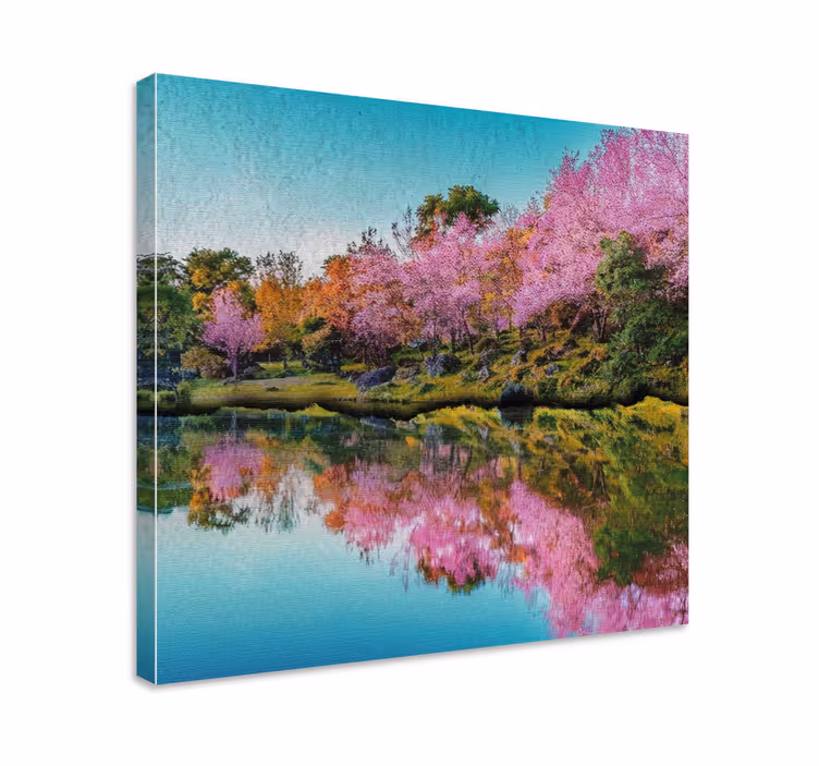 Wandbilder Landschaft kirschblütenreflexion - TenStickers