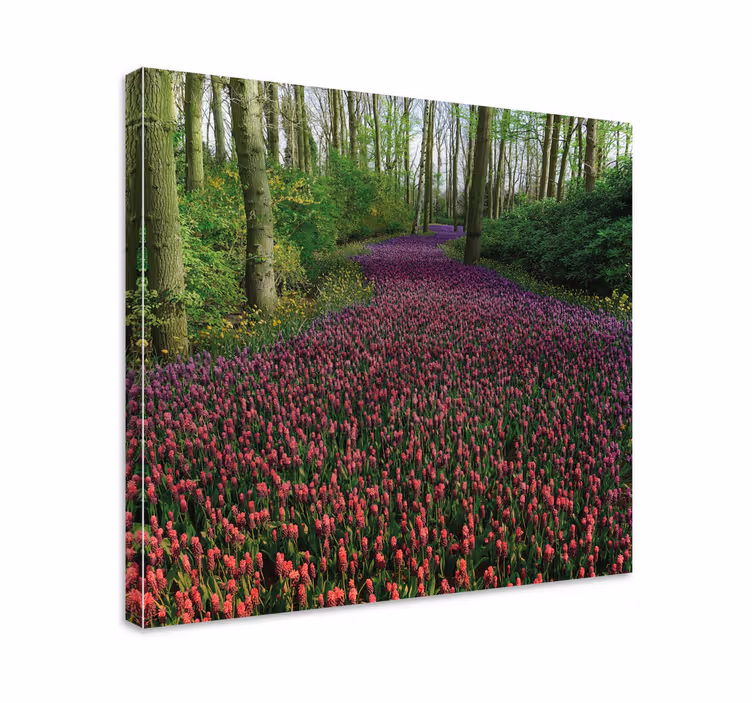 Leinwandbild blühender blumensweg - TenStickers