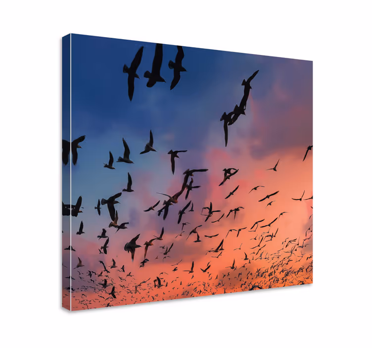 Leinwandbild Vogel vogelschwarm - TenStickers