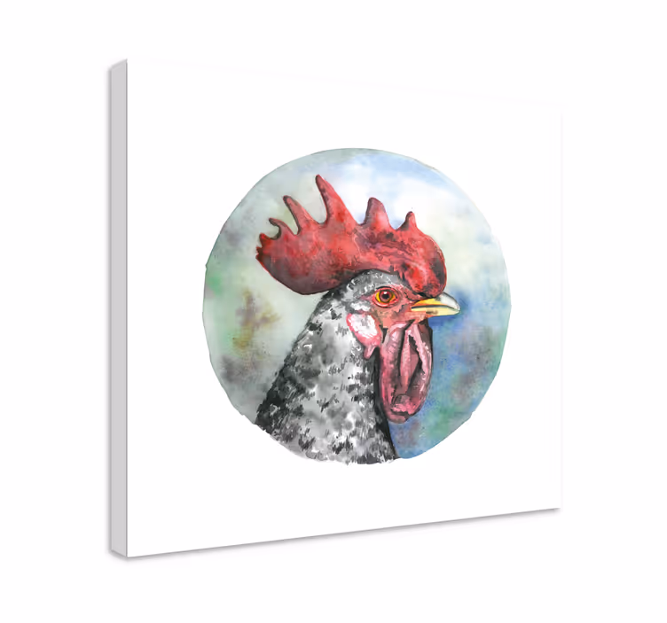 Leinwandbild vogel hahnporträt - TenStickers