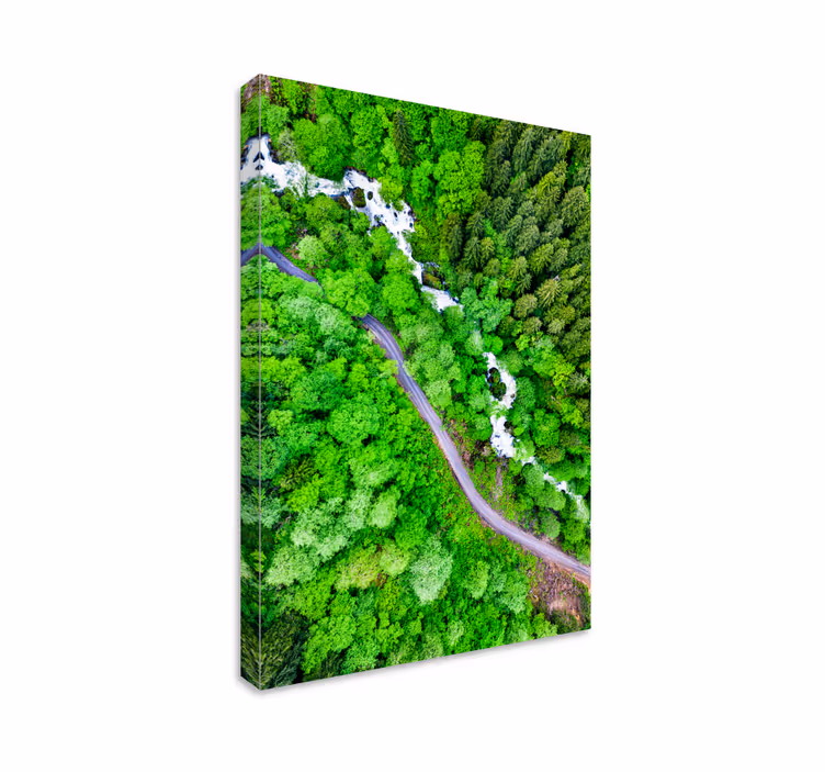 Wandbilder landschaft winding forest river - TenStickers