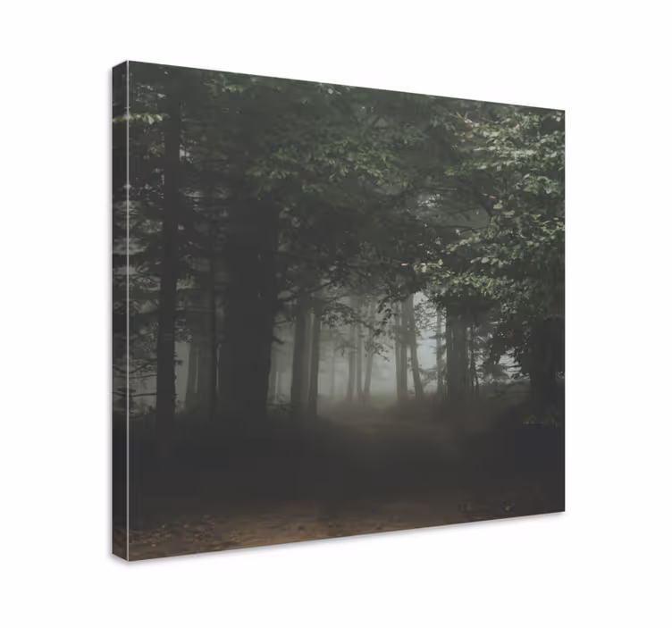 Wandbilder landschaft verhüllter waldweg - TenStickers