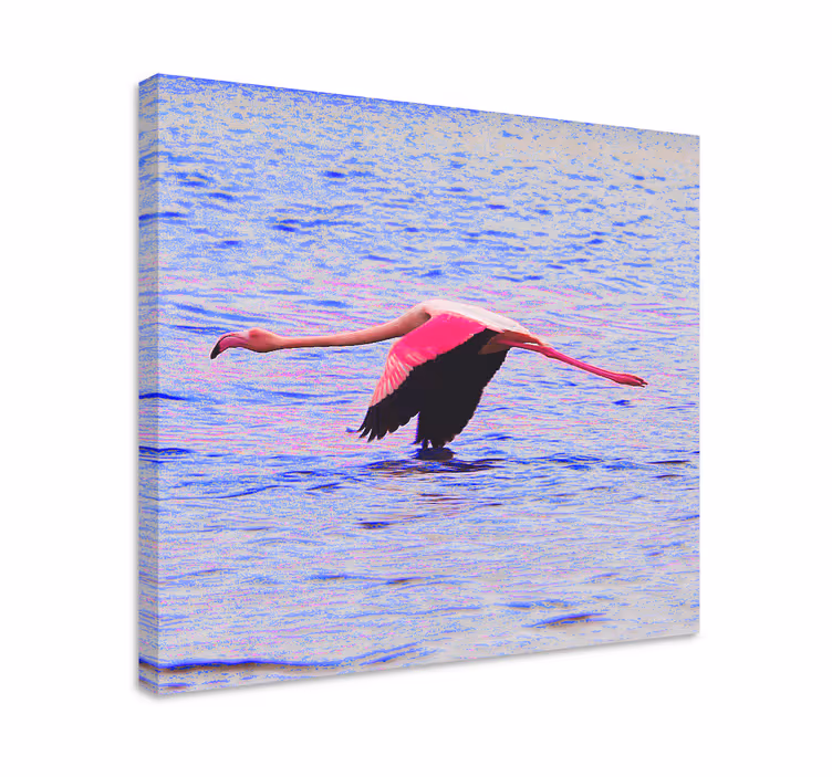 Wandbild fische flamingo im flug - TenStickers