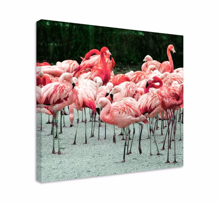 Leinwandbild vogel flamingo schwarm - TenStickers