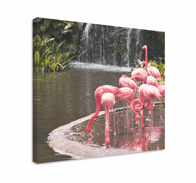 Leinwandbild vogel flamingo schwarm pool - TenStickers