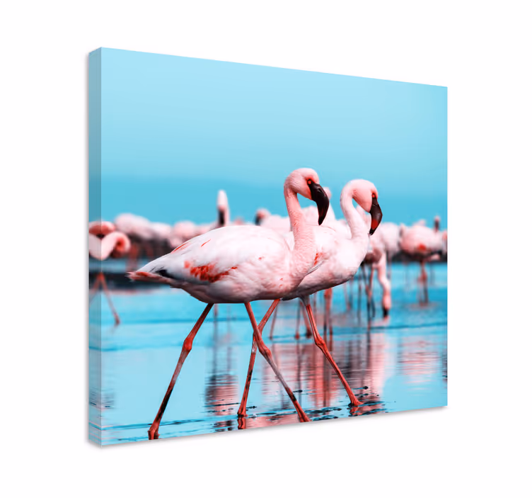 Leinwandbild vogel majestätische rosa flamingos - TenStickers