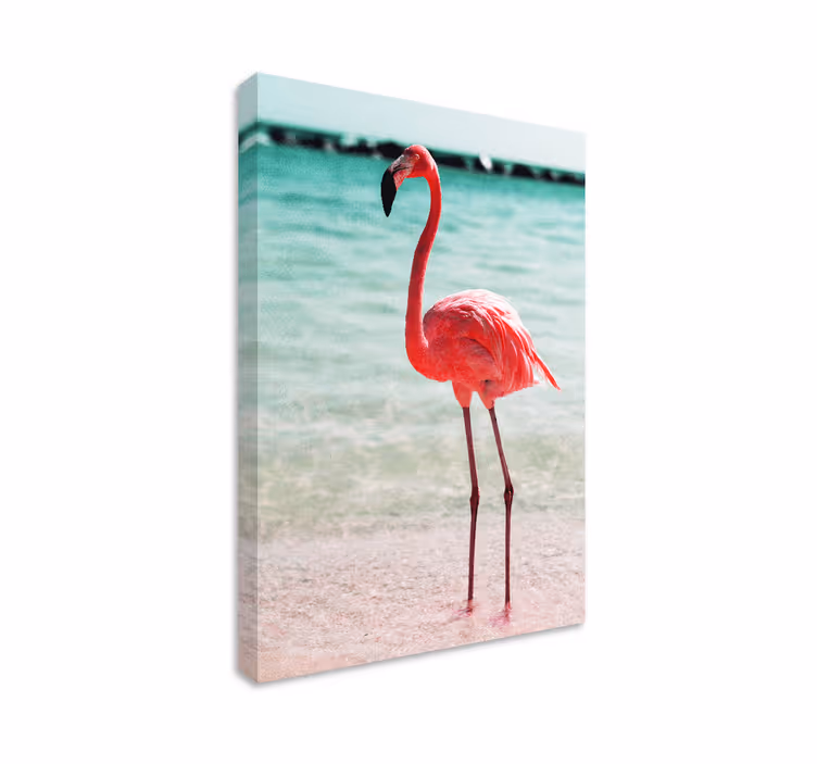 Leinwandbild vogel eleganter flamingo stand - TenStickers