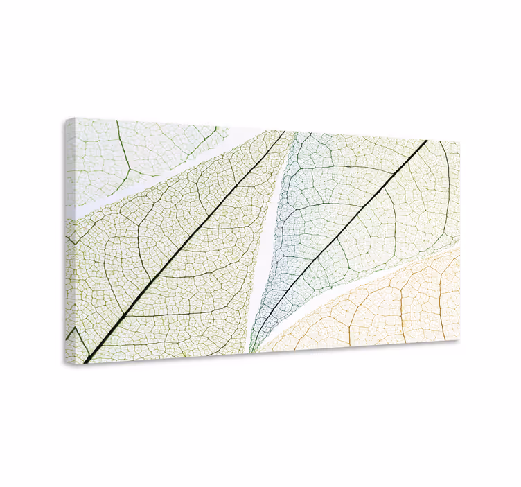 Leinwandbild mit detaillierten blattmotiven - TenStickers