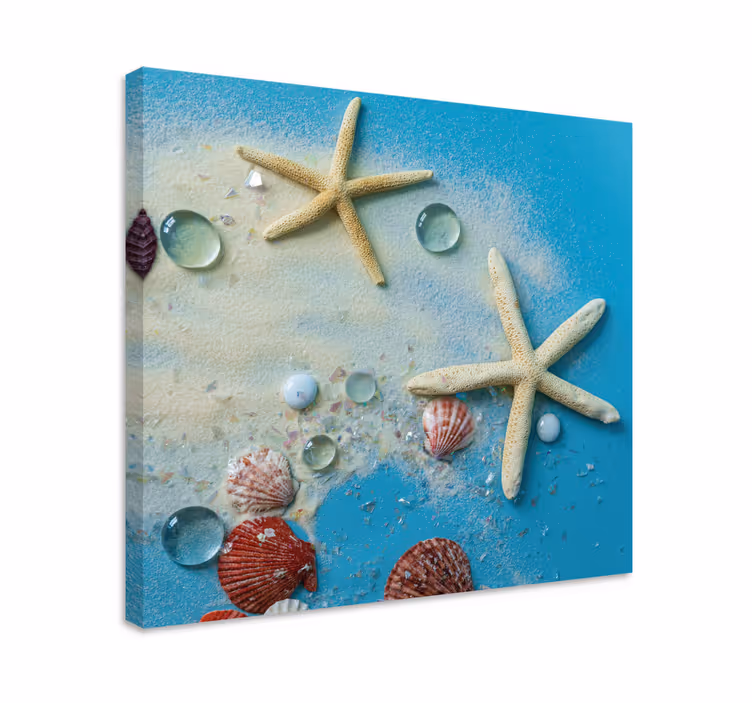 3D Wandbilder Seestern auf buntem sand - TenStickers