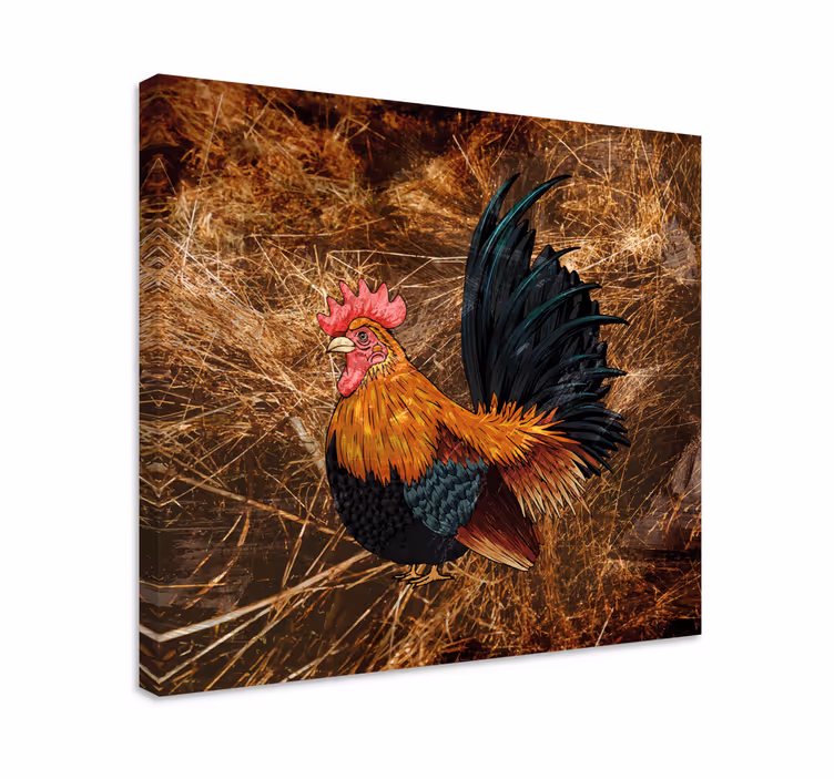 Leinwandbild vogel bunter hahn - TenStickers