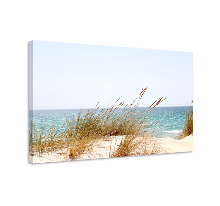 Wandbilder landschaft küstendünenansicht - TenStickers