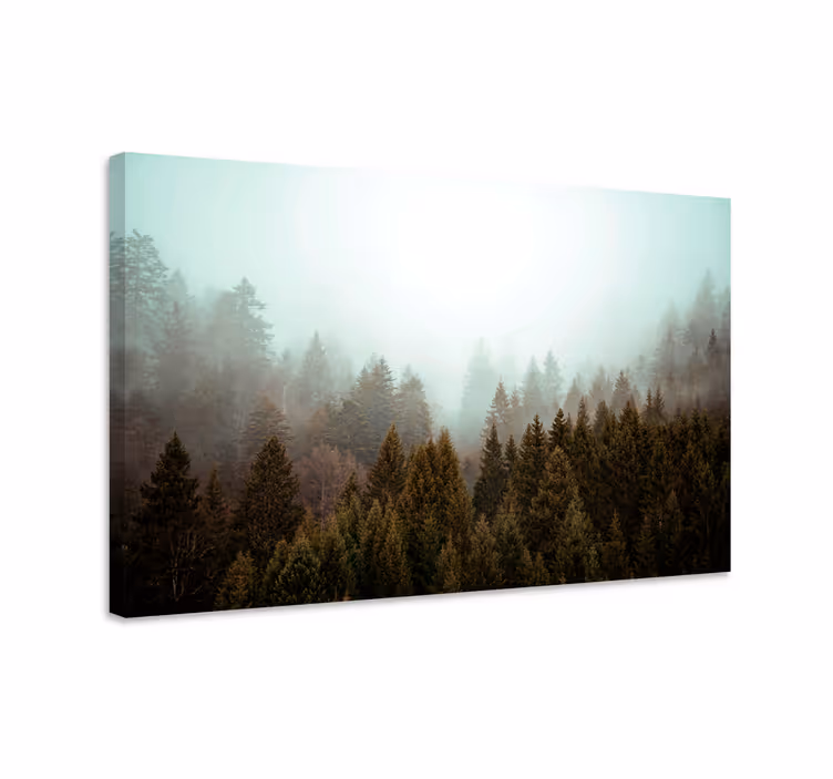 Wandbilder landschaft nebeliger waldblick - TenStickers