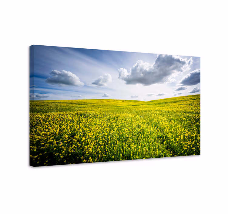 Wandbilder landschaft leuchtend gelbes feld - TenStickers