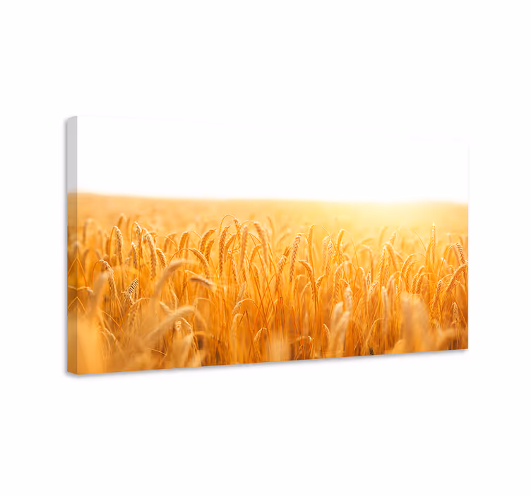 Leinwandbild goldenes weizenfeld - TenStickers
