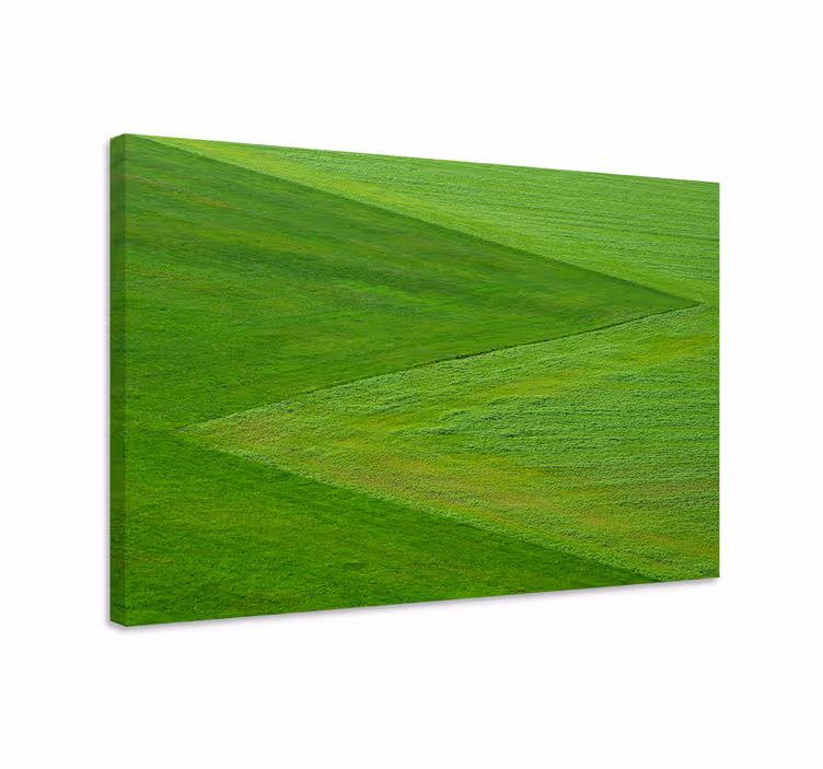 Wandbilder landschaft grünes terrain - TenStickers