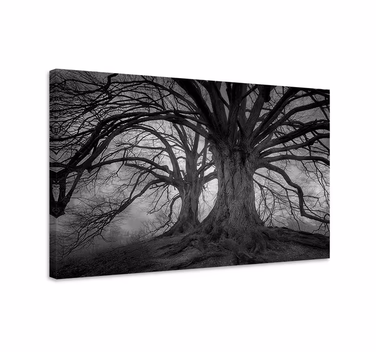 Wandbild baum geheimnisvolle kahle bäume - TenStickers