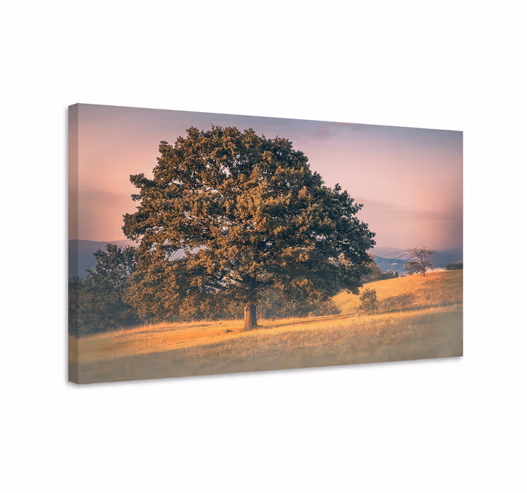 Wandbild baum majestätische eiche - TenStickers