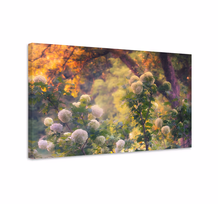 Leinwandbild florale wiesenblüten - TenStickers