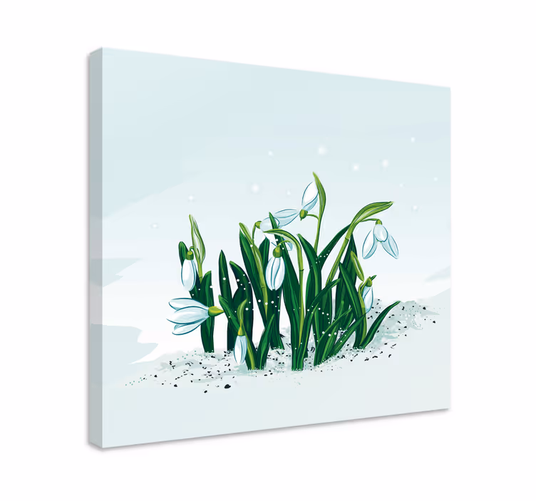 Leinwandbild schneeglöckchen blumen - TenStickers