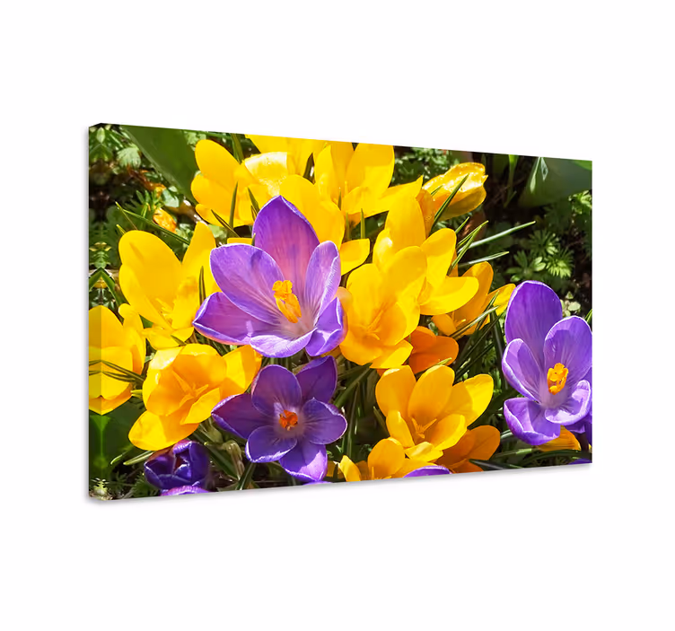 Leinwandbild bunte frühlingsblüten - TenStickers