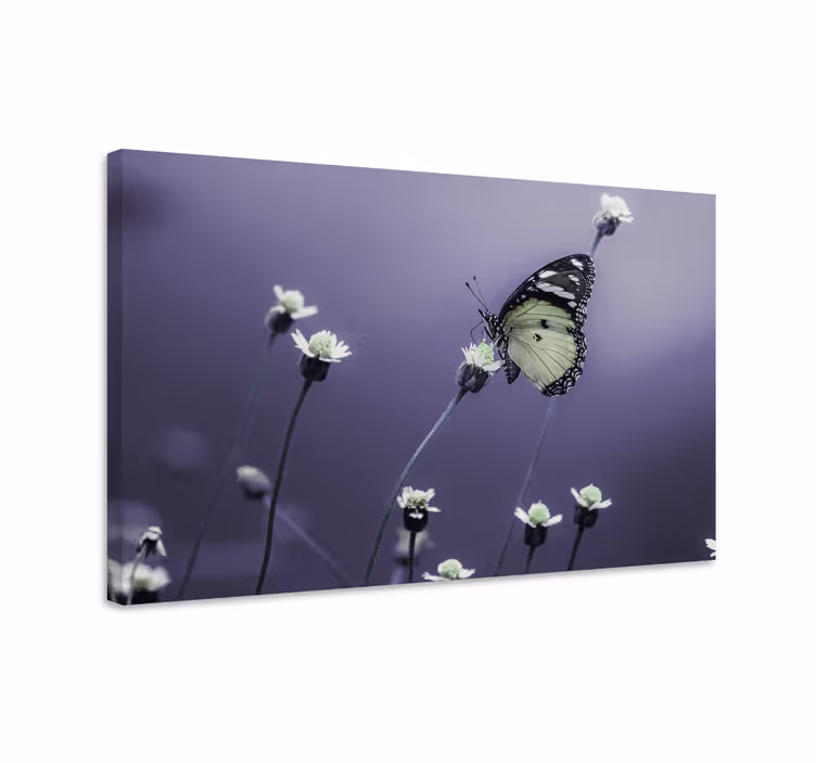 Wandbild schmetterling unter blumen - TenStickers